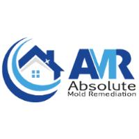 Absolute Mold Remediation Ltd. image 5